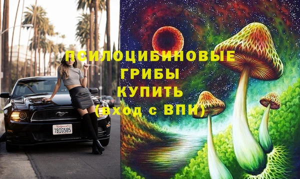 трава Вязьма