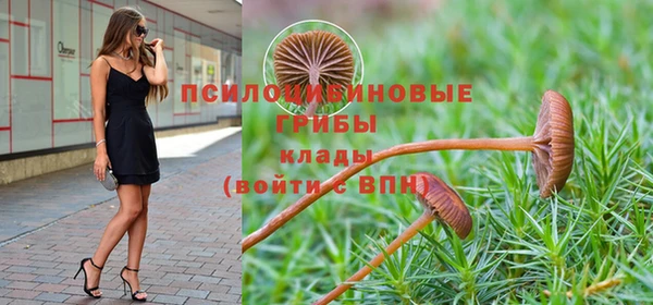 spice Вязники