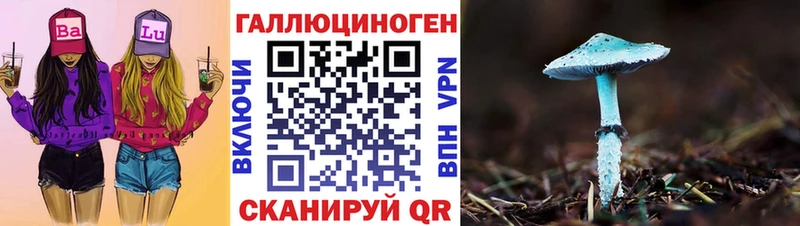 Купить закладки  Клин  Псилоцибиновые грибы Psilocybine cubensis 